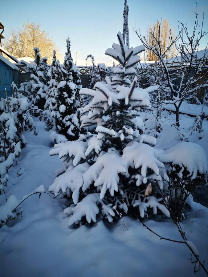 Загородный Коттедж Kek-Dzhar Kültér fotó